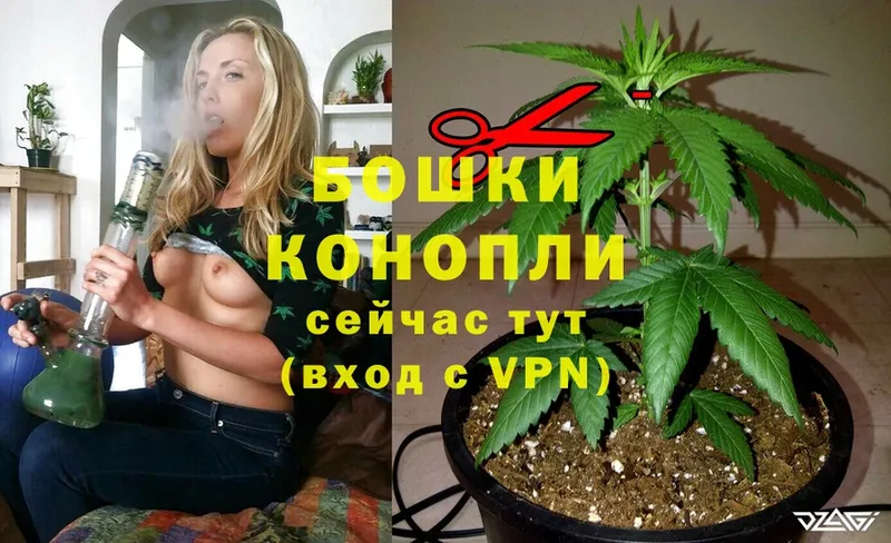 купить наркотик  Катав-Ивановск  Конопля THC 21% 